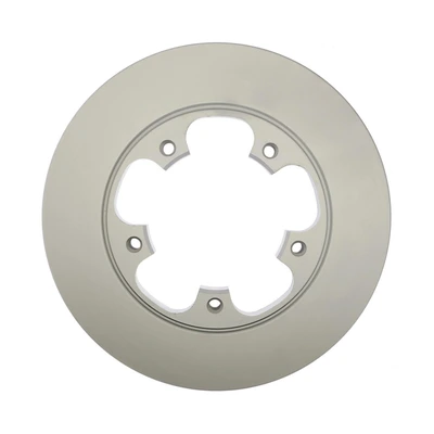 Disc Brake Rotor - Rear Side - Raybestos 681939FZN