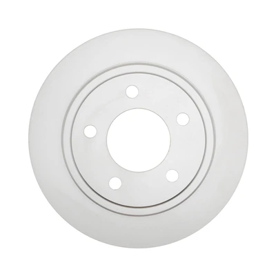 Disc Brake Rotor - Rear Side - Raybestos 76316FZN