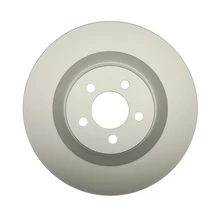 Raybestos 780389FZN Brake Rotor