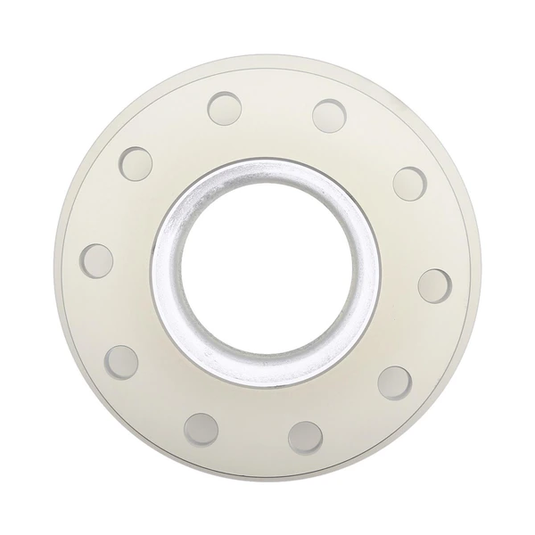 Raybestos 8541 Brake Rotor Rear