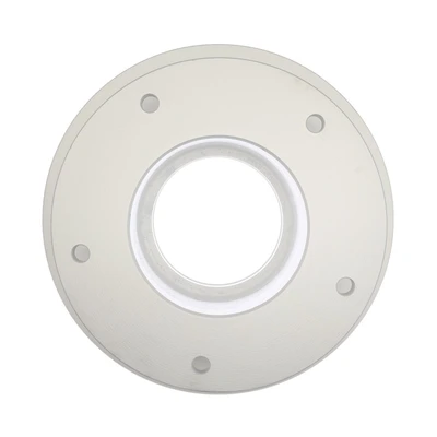 Disc Brake Rotor - Rear Side - Raybestos 8544