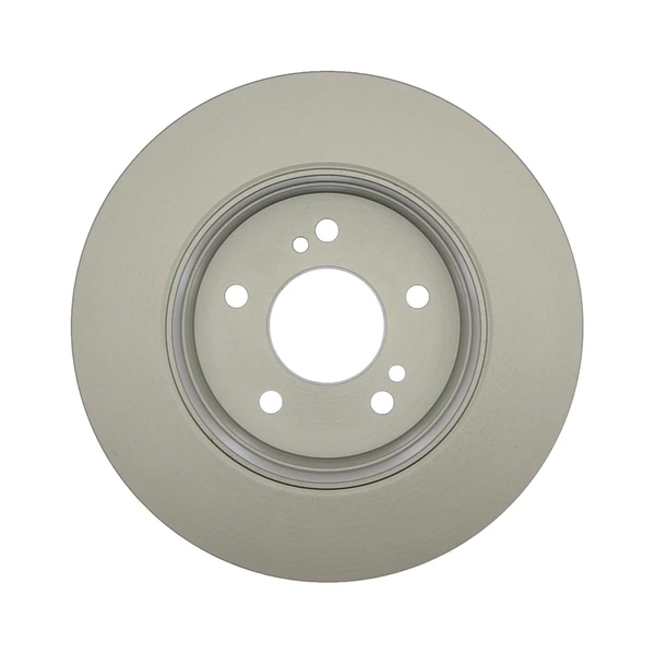 Raybestos 96764FZN Brake Rotor Rear