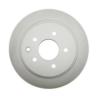 Disc Brake Rotor - Rear Side - Raybestos 980113FZN