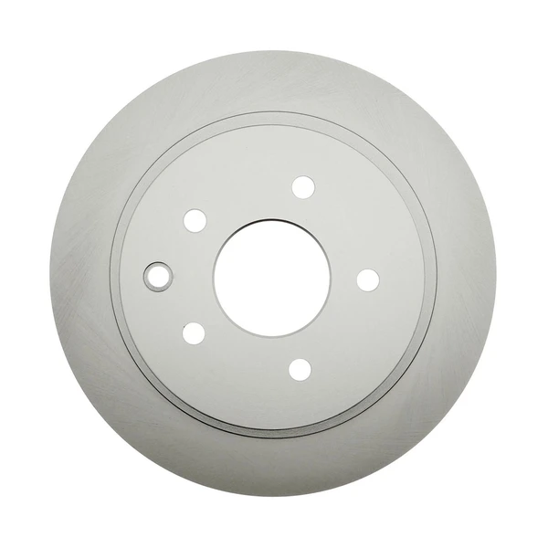 Raybestos 980113FZN Brake Rotor Rear