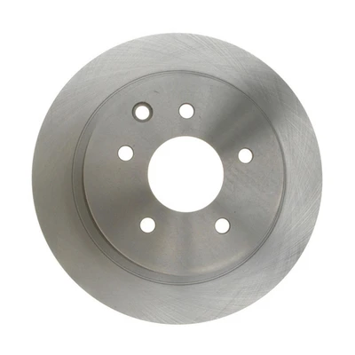 Disc Brake Rotor - Rear Side - Raybestos 980113R
