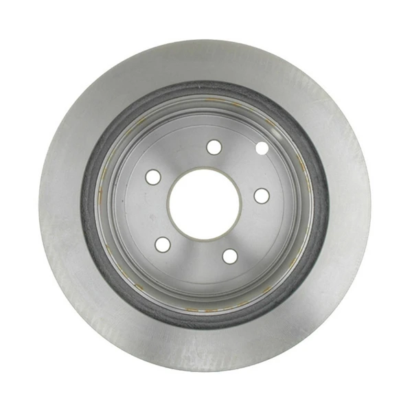 Raybestos 980155 Brake Rotor Rear