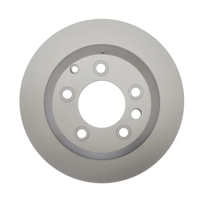 Disc Brake Rotor - Rear Side - Raybestos 980230FZN