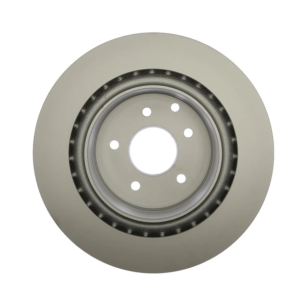Raybestos 980251FZN Brake Rotor Rear