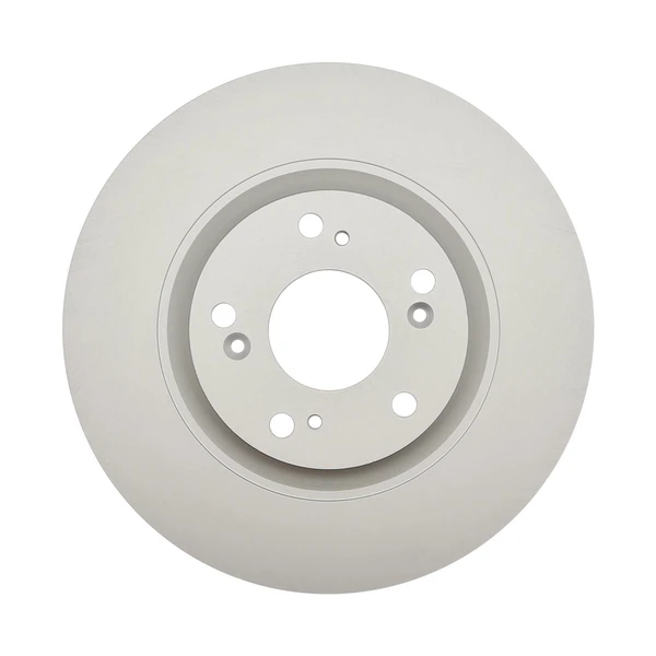 Raybestos 980317FZN Brake Rotor Front