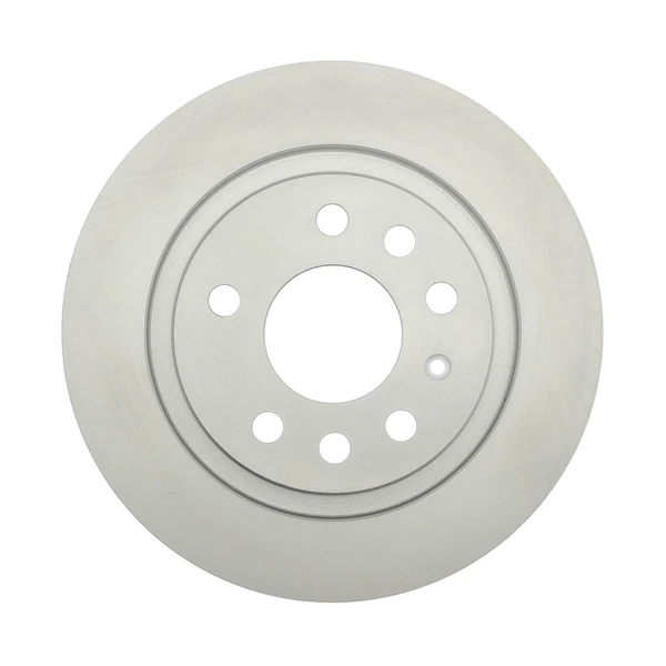 Raybestos 980329FZN Brake Rotor Rear