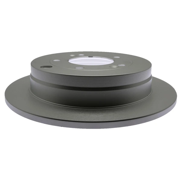 Raybestos 980417FZN Brake Rotor Rear