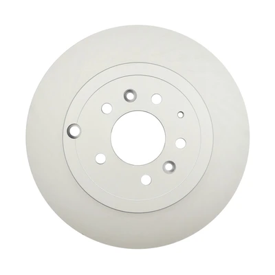 Disc Brake Rotor - Rear Side - Raybestos 980579FZN