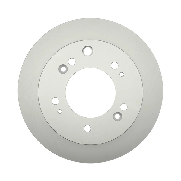 Raybestos 980602FZN Brake Rotor