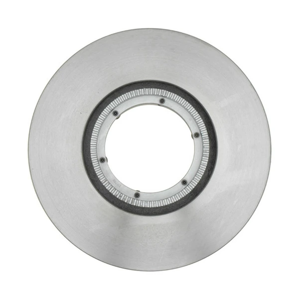 Raybestos 980617 Brake Rotor Rear