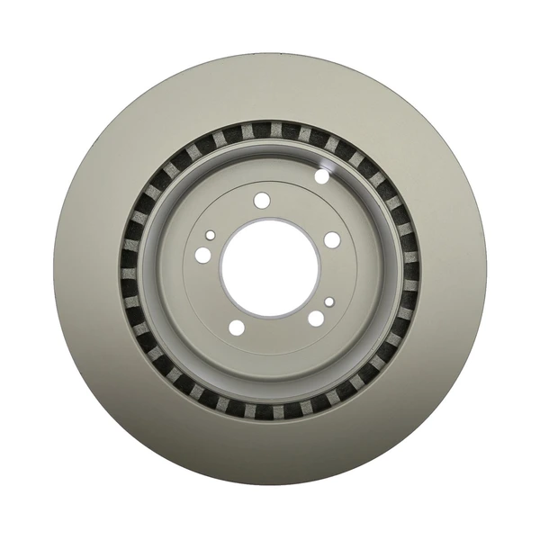 Raybestos 980660FZN Brake Rotor Rear