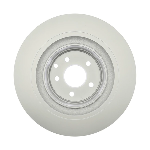 Raybestos 980663FZN Brake Rotor Rear