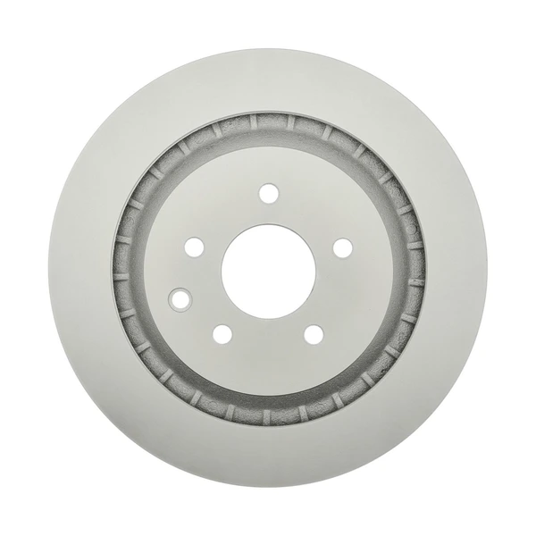 Raybestos 980663FZN Brake Rotor Rear