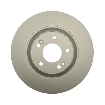 Disc Brake Rotor - Front Side - Raybestos 980915FZN