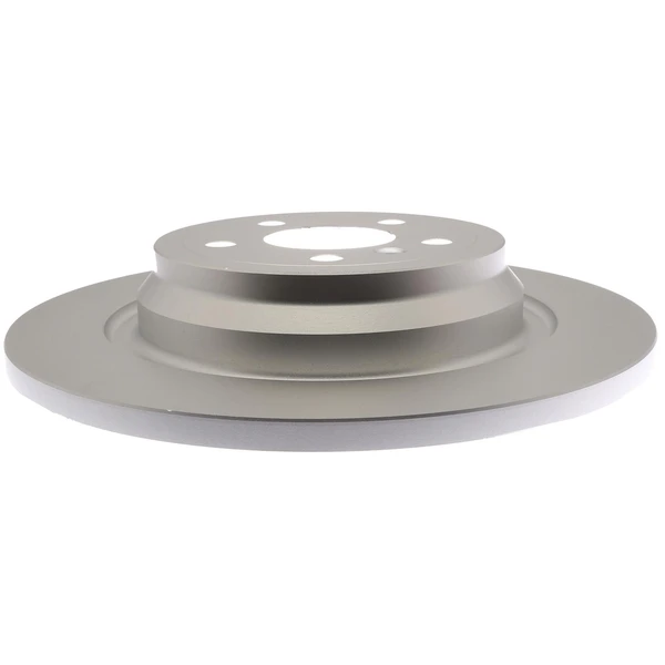 Raybestos 981004 Brake Rotor Rear