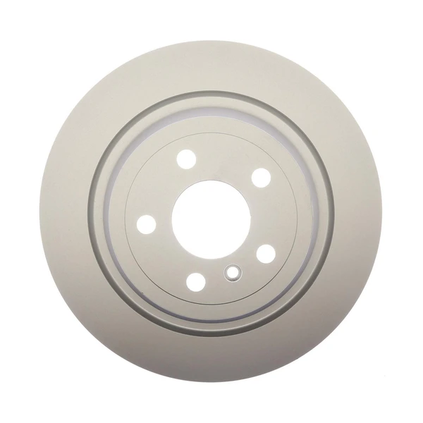 Raybestos 981004 Brake Rotor Rear