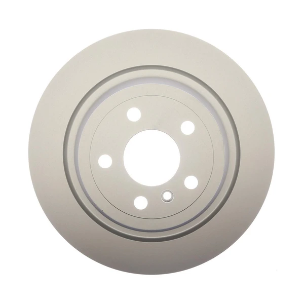 Raybestos 981004FZN Brake Rotor Rear