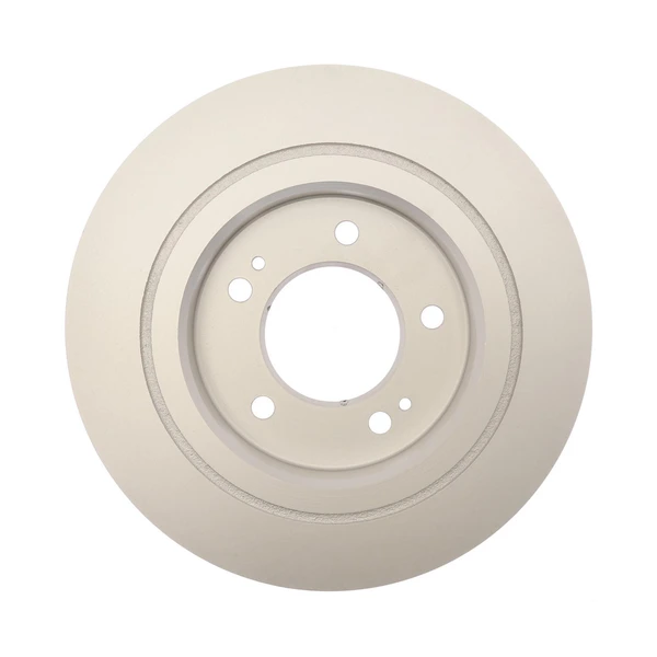 Raybestos 981009FZN Brake Rotor Rear