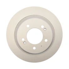 Disc Brake Rotor - Rear Side - Raybestos 981009FZN
