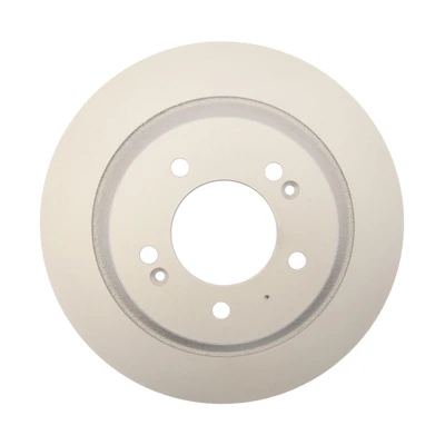 Disc Brake Rotor - Rear Side - Raybestos 981009FZN