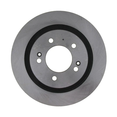 Disc Brake Rotor - Rear Side - Raybestos 981009R