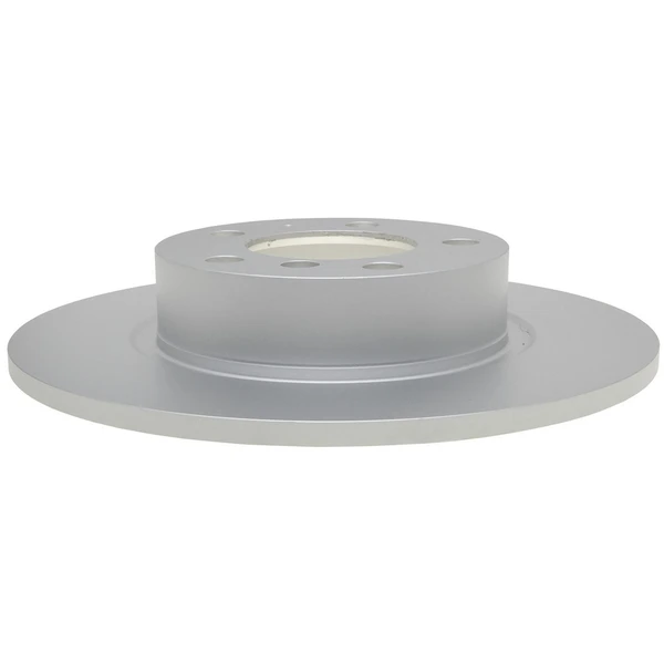 Raybestos 981024 Brake Rotor Rear