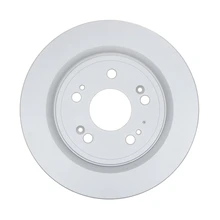 Raybestos 981020FZN Brake Rotor Rear