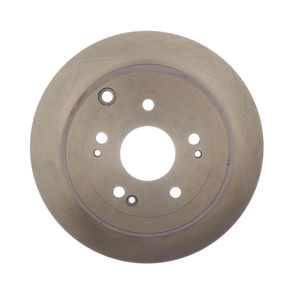 Raybestos 981041R Brake Rotor Rear