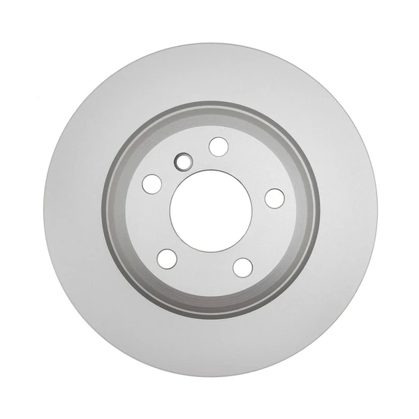 Raybestos 981065FZN Brake Rotor Rear