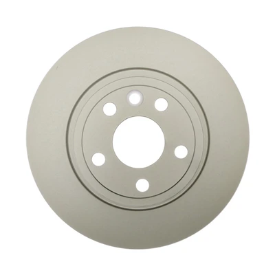 Disc Brake Rotor - Rear Side - Raybestos 981820