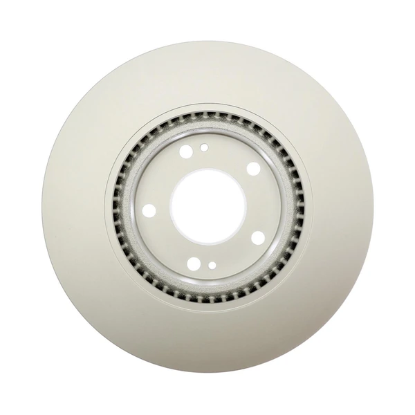 Raybestos 981865 Brake Rotor Front