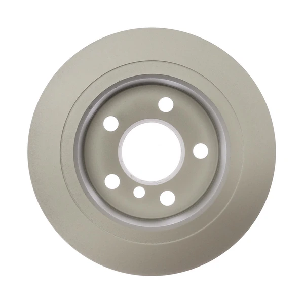 Raybestos 981943FZN Brake Rotor Rear