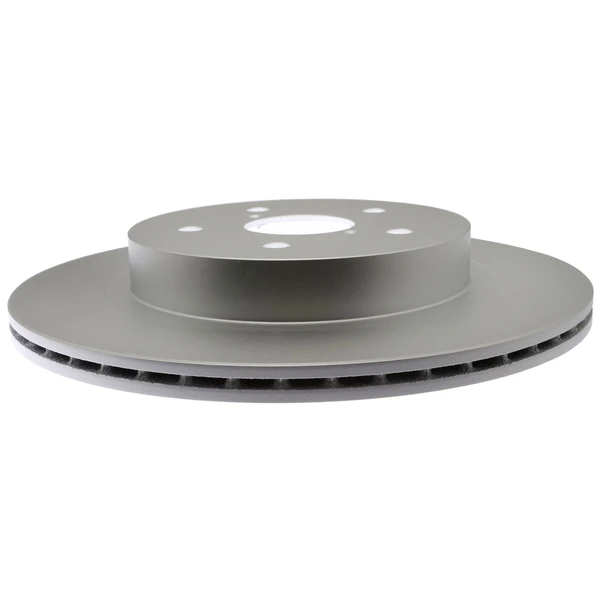 Raybestos 981956FZN Brake Rotor Rear