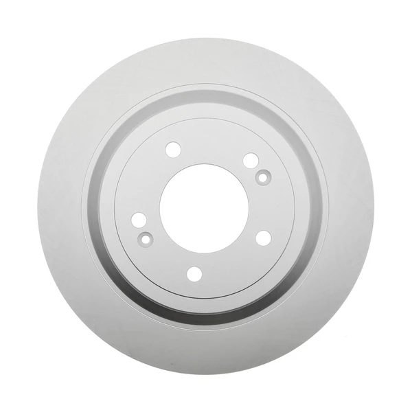 Raybestos 981987FZN Brake Rotor Rear