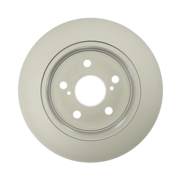 Raybestos 982045 Brake Rotor Rear
