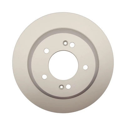 Disc Brake Rotor - Rear Side - Raybestos 982049FZN
