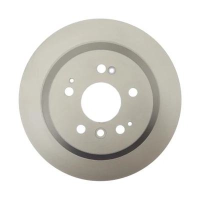 Disc Brake Rotor - Rear Side - Raybestos 982041FZN