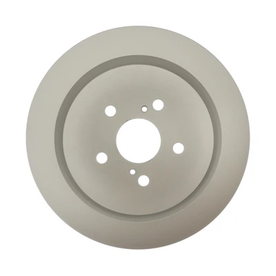 Disc Brake Rotor - Rear Side - Raybestos 982051FZN