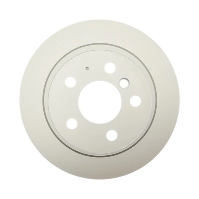 Disc Brake Rotor - Rear Side - Raybestos 982069FZN
