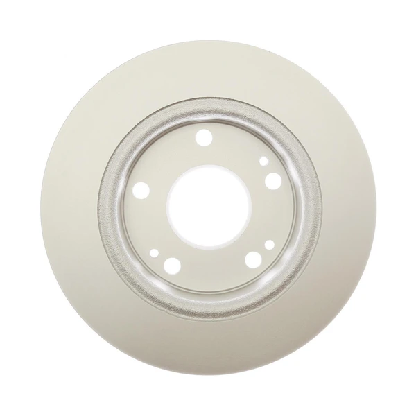 Raybestos 982073FZN Brake Rotor Rear