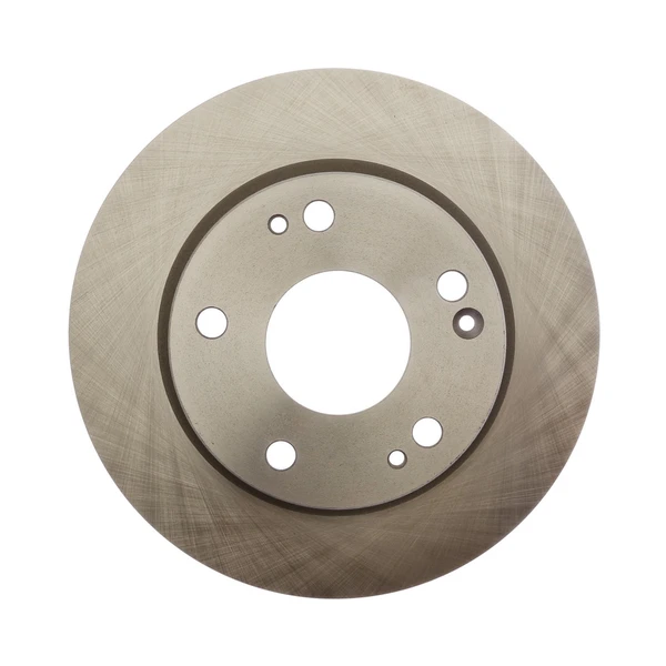 Raybestos 982073R Brake Rotor Rear