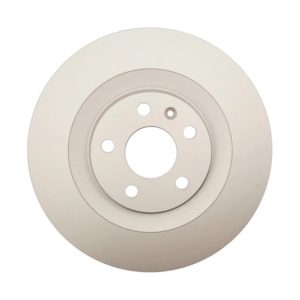 Raybestos 982109 Brake Rotor Rear