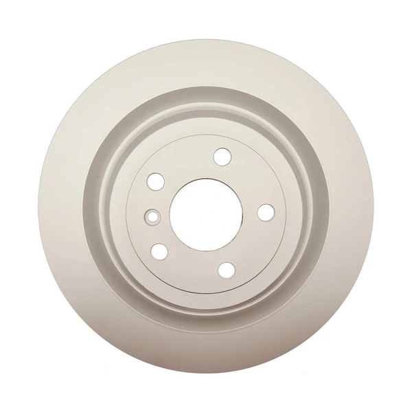 Raybestos 982118 Brake Rotor Rear