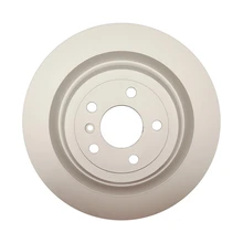 Disc Brake Rotor - Rear Side - Raybestos 982118FZN