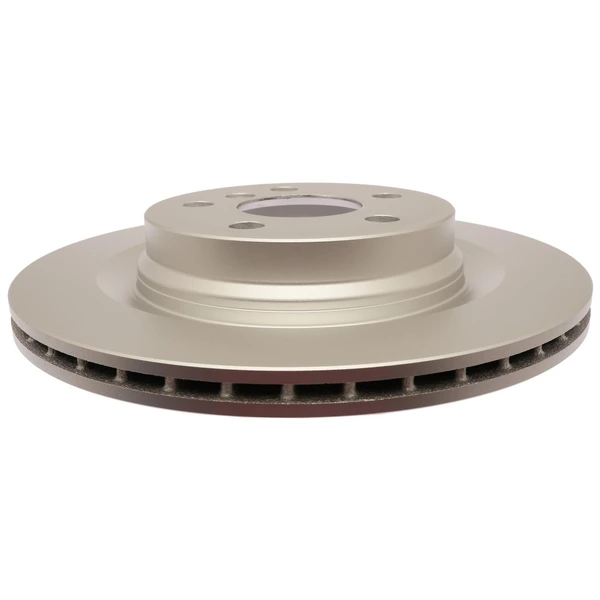 Raybestos 982125 Brake Rotor Rear