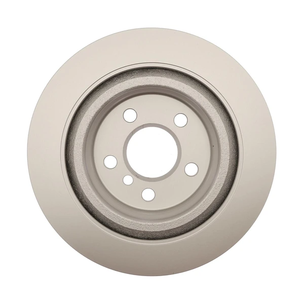 Raybestos 982125 Brake Rotor Rear